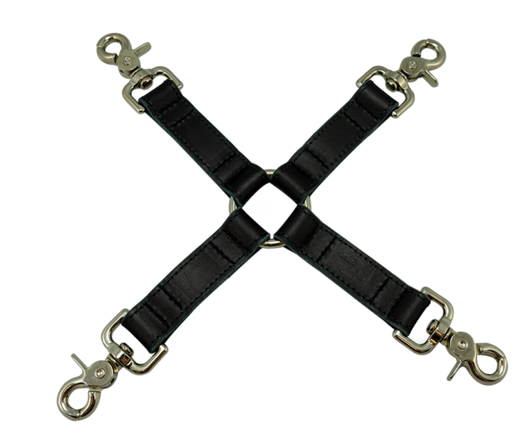 hogtie meaning
